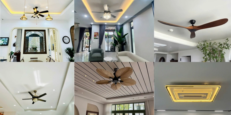 Quạt trần đèn trang trí hiện đại cho phòng khách 355 Decor