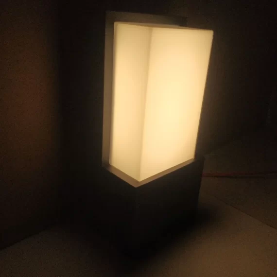 Đèn Tường VNT2233 5