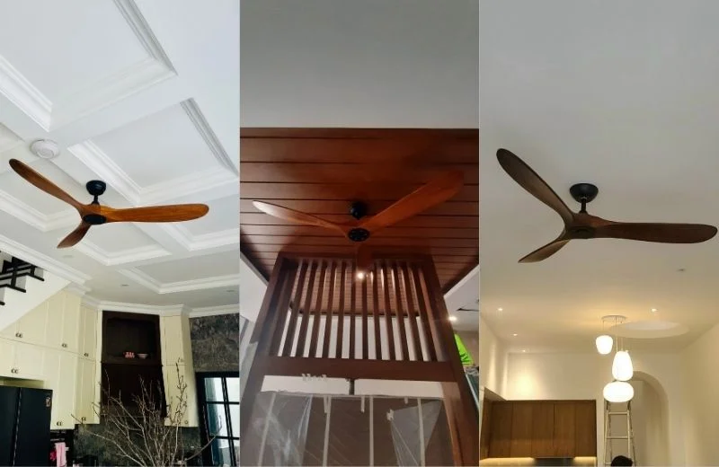 Quạt trần QT6004 thực tế
