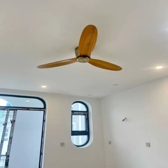 Đèn Quạt Trần QT31 6