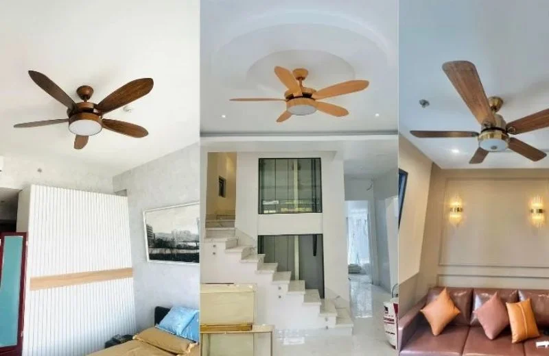 Đèn Quạt Trần QT33 8