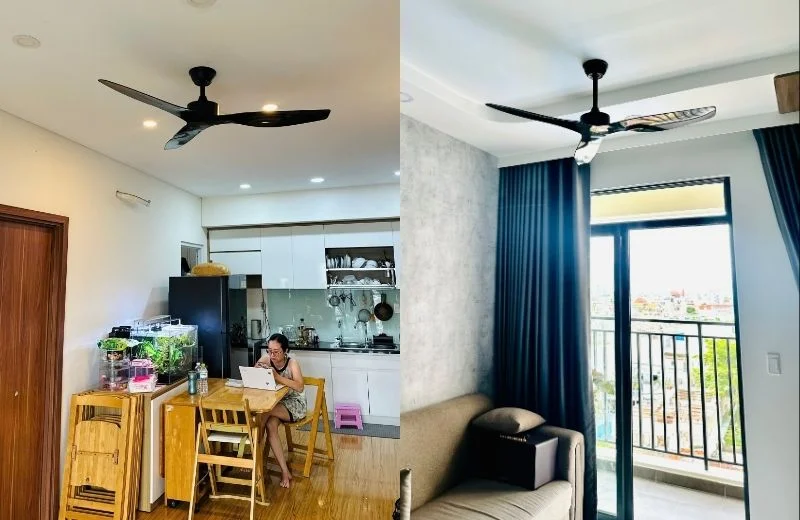 Quạt trần QT39 thực tế