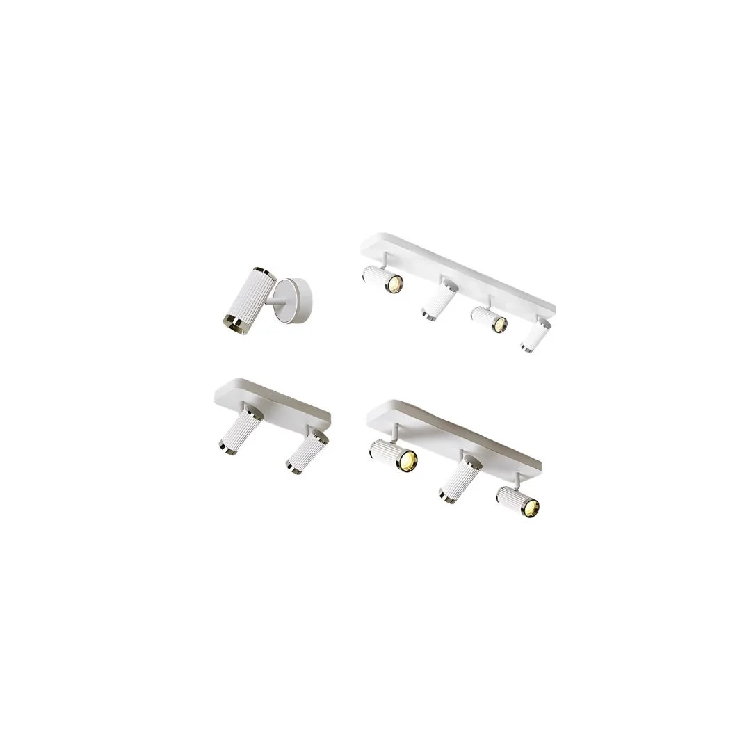 Đèn rọi tranh RT9118