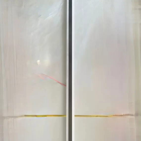 Đèn Tường Ngoài Trời vnt225 5