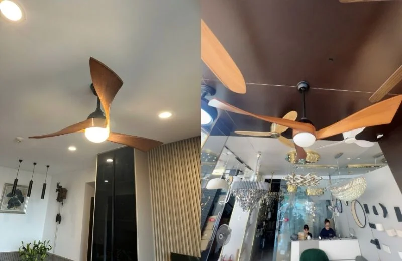 Quạt trần đèn QT52 cho căn hộ, phòng khách