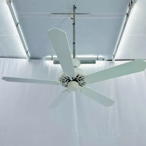 Quạt Trần QT34 3
