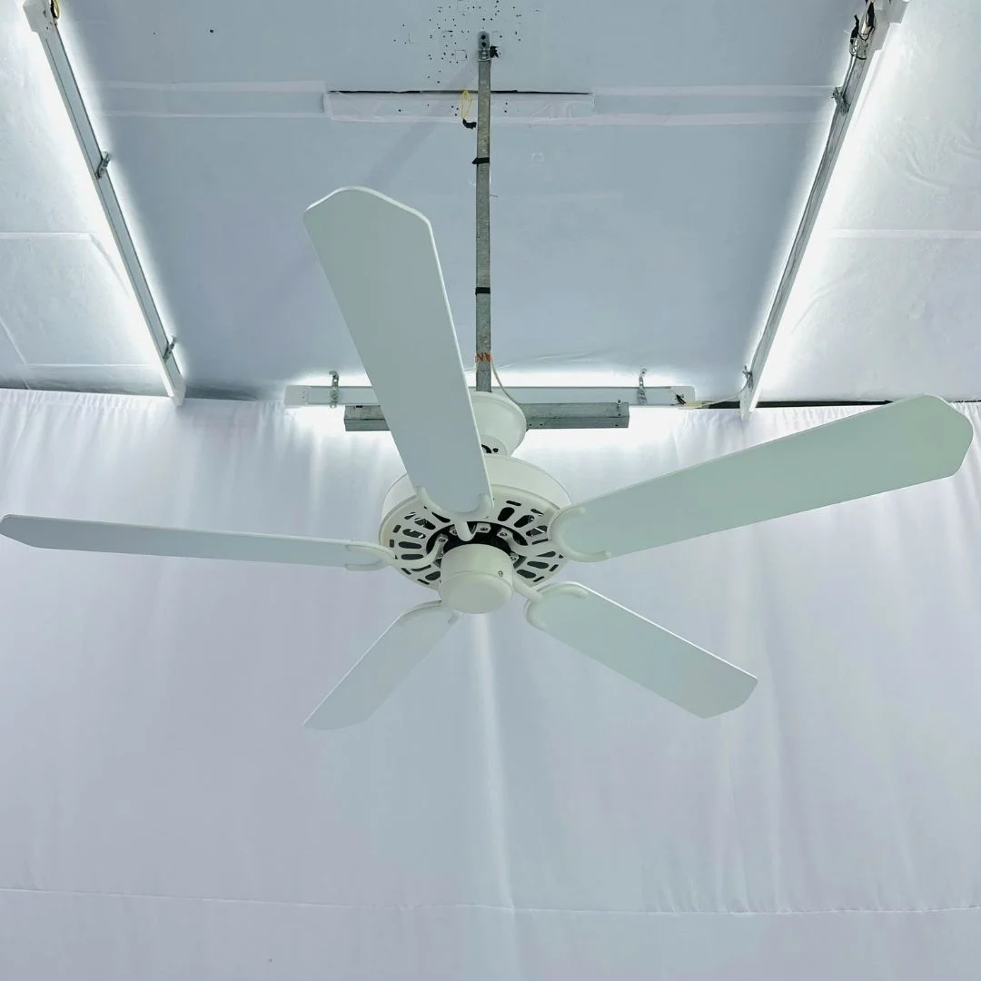 quat-tran-qt34e-2 Quạt trần QT34E 2