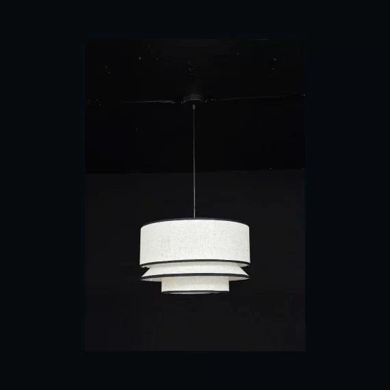 Đèn thả hiện đại THD53 1