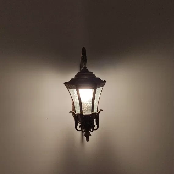 Đèn Tường Ngoài Trời VNT6698 2