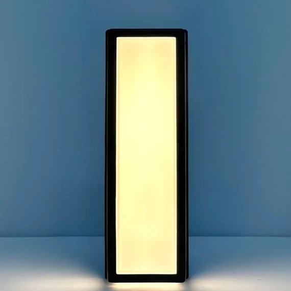 Đèn Tường VNT124 1