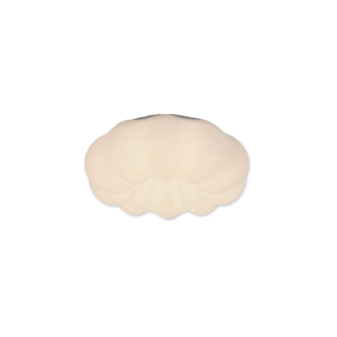 Đèn ốp trần mica OT1101